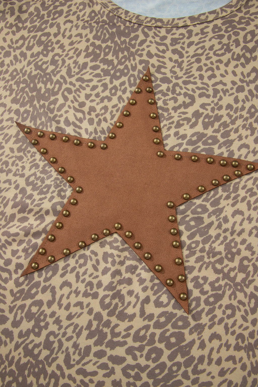 Leopard Retro Studded Star Loose Tee